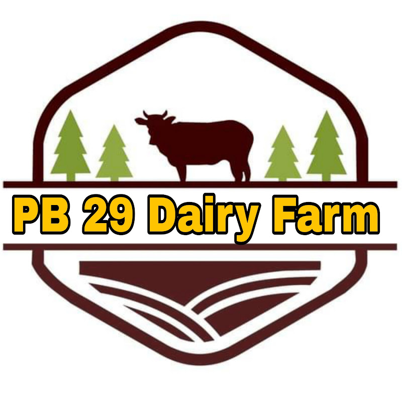 Pb 29 Dairy farm