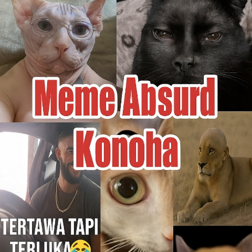 チャンネル画像