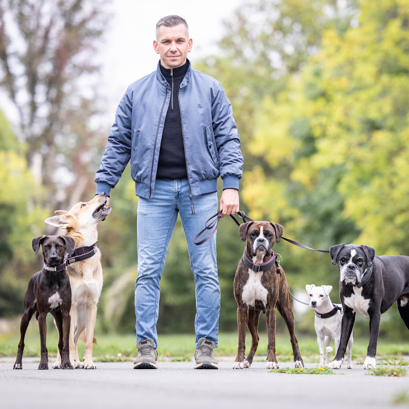 Hundetrainer Steve Kaye