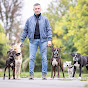 Hundetrainer Steve Kaye Avatar
