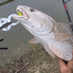 Slaughter House Fishing