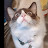 @ladylove8565's avatar