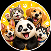 Animal Comedy Club