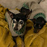 12AKbstCKgw-channel-avatar-SissiandNala 