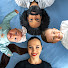 NY5YmrVBDIY-channel-avatar-VIBRA FAMILIAR
