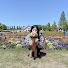 MPy2FMnLpek-channel-avatar-yurry's log