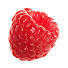 Royir7ObJZc-channel-avatar-Mouldy Raspberry