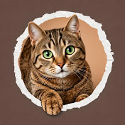The Feline Compass