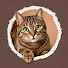 O2QMl5-1AIE-channel-avatar-The Feline Compass
