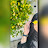 @Hapipamustafa-o3b4j