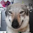 @Feinious_Dog