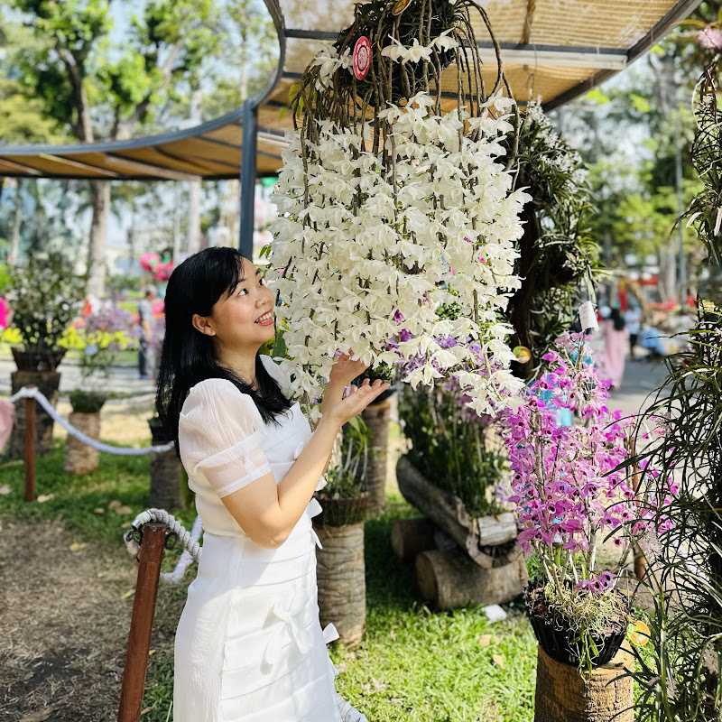 Chi Vuvi - Garden & Life