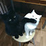 XztmQ8nQtr8-channel-avatar-sofia + nika 