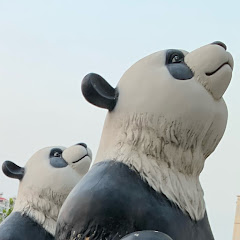 Tao老师アイコン画像