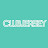 CLUBJERSEY WORLD