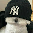 B5XQtfq7eaE-channel-avatar-micky