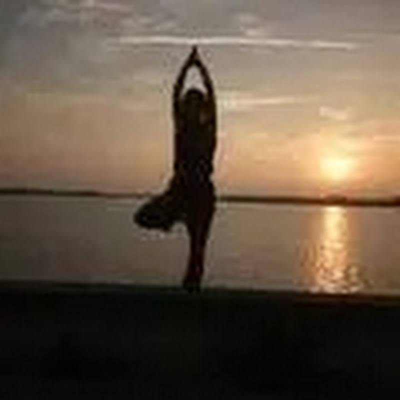 余姐美食Sister Yu's delicious food Logo