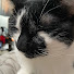 0NWxt59ur90-channel-avatar-CatGGz