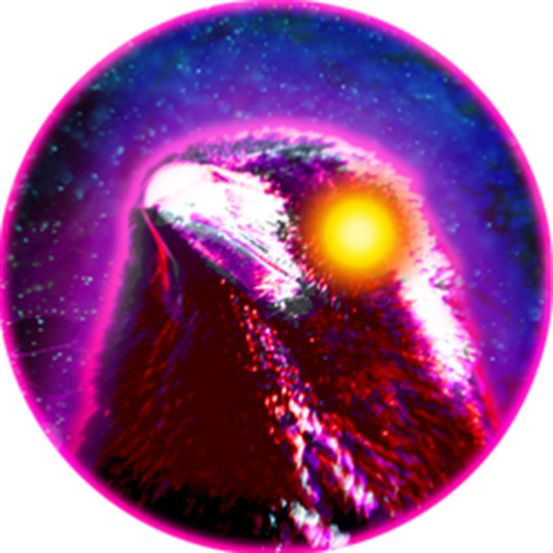 As The Raven Dreams