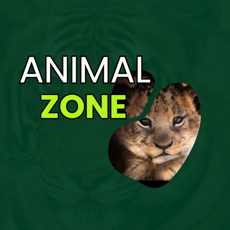 Animal Zone 11