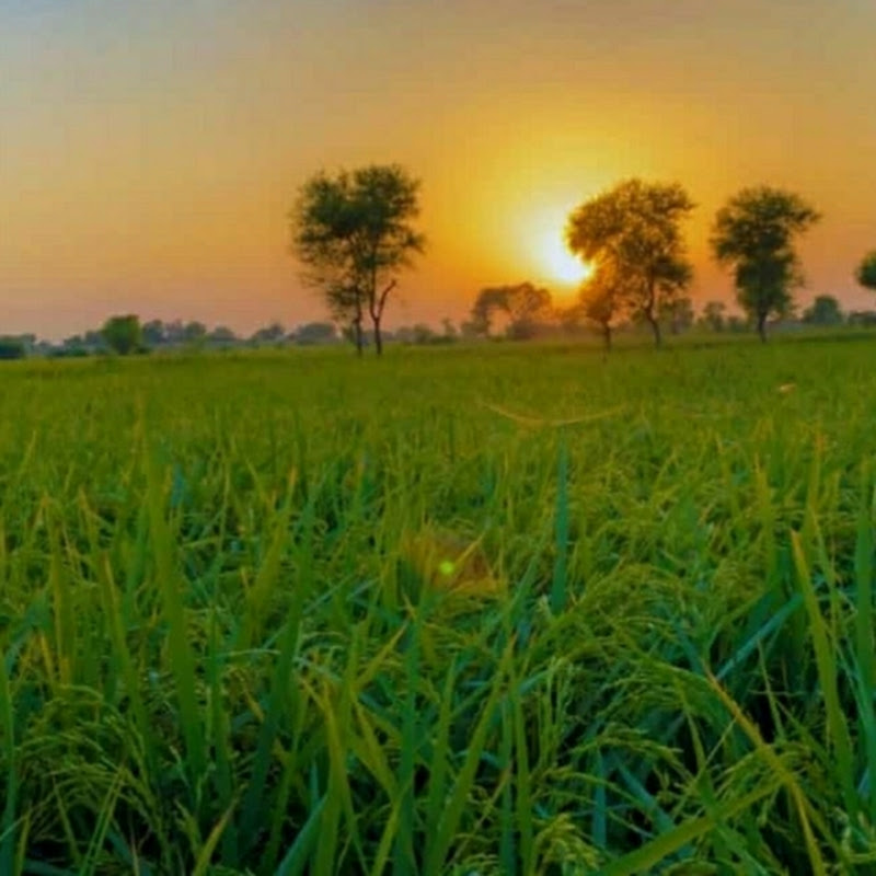 Mudasir Baloch