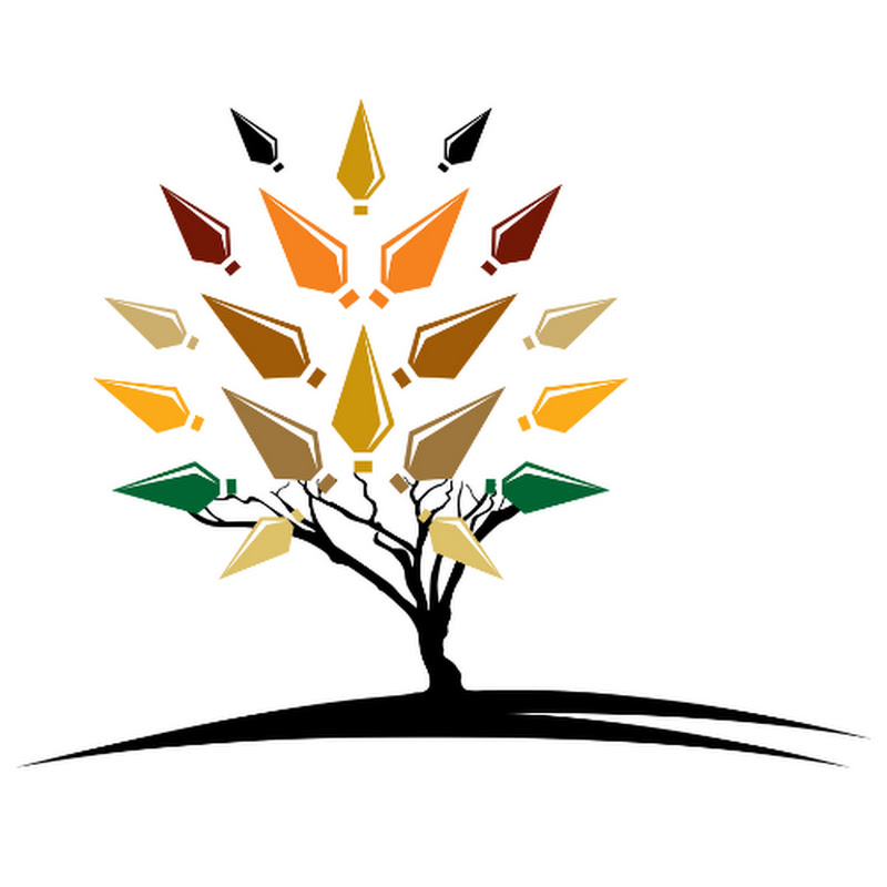Legal Practice Council