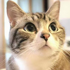 社会人のための蓄財生活アイコン画像