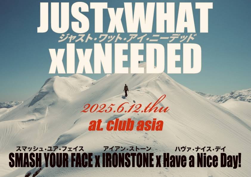 星HaveaNaiceday SilverStar zXe Headlight D1SSZ