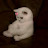 @ياعليياعلي-ف4ش5ك