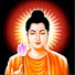 l4XhuWIm_bU-channel-avatar-Hạt Chân Như