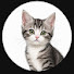 nMxdEHhx__c-channel-avatar-Felion