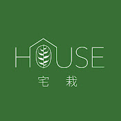 foliangle_houseplant