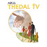 K2MZFPfdKOA-channel-avatar-Arul Thedal
