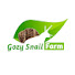 Xj0xHmhTqA0-channel-avatar-Gozy Snail Farm