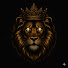 RXNPmxK7UkY-channel-avatar-KAISER Mtbb