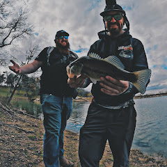 The Yankee And The Cowboy Fish
