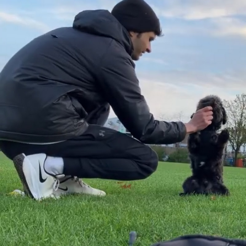 Ruben Hondentraining (FLIP & SHIFTY)