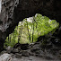 bt_vjXiDoxs-channel-avatar-The Forest