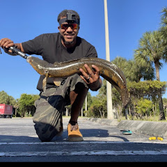 HookSet Tito