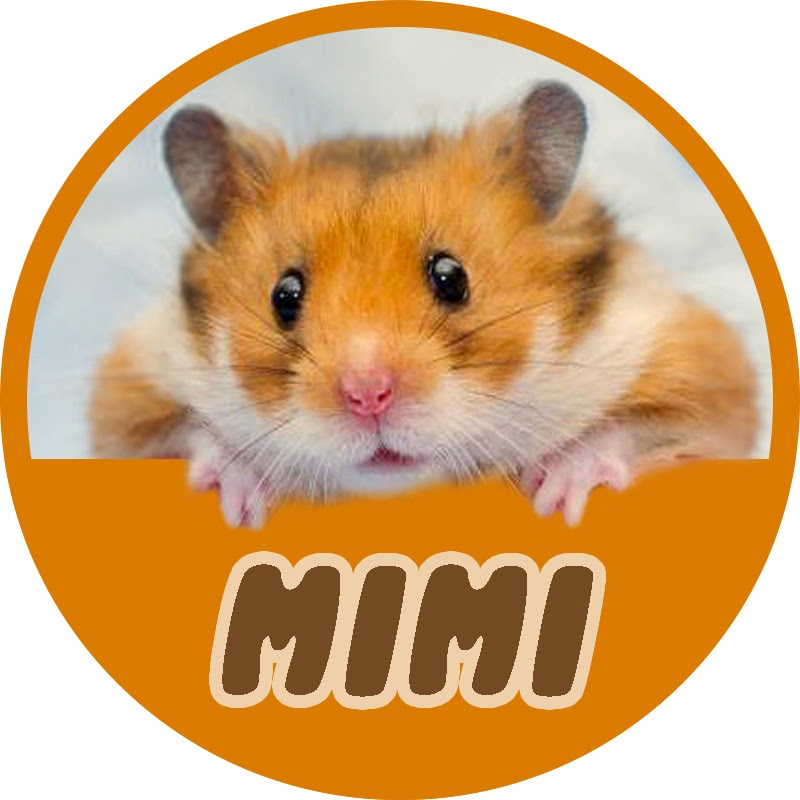 HAMSTER MIMI icon