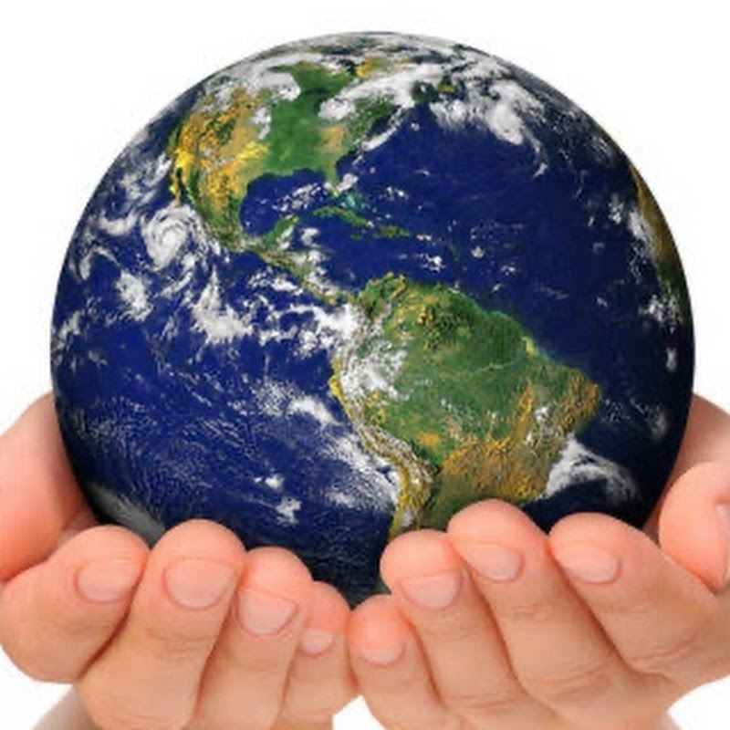 BEAUTIFUL WORLD - Birds, Beasts, & Oceans