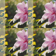 thumbnail img1x1