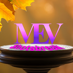 Mev shorts break avatar