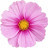 اصنعها بنفسك Yodeco
