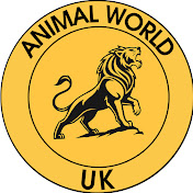 Animal World UK