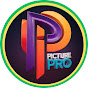 PicturePro logo