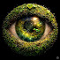 -jWvY4c17Mo-channel-avatar-Where Nature Hides