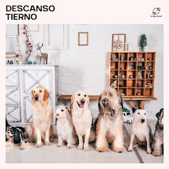 Música tranquila para perros - Topic