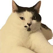 うめと申しますけども