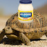 Q5EwbZ5duKk-channel-avatar-MayoTurtle